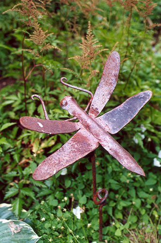 dragonfly